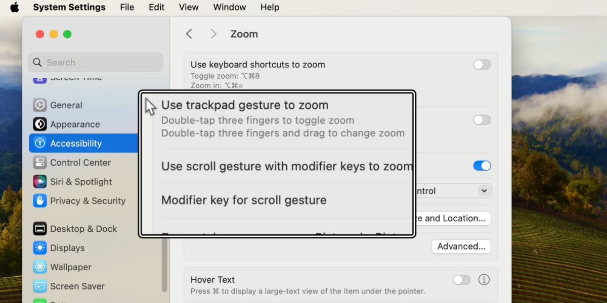 /pt/images/picture-in-picture-zoom-on-mac.jpg