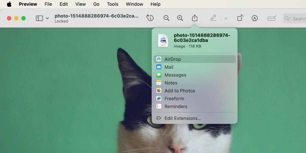 /pt/images/share-options-on-mac.jpg