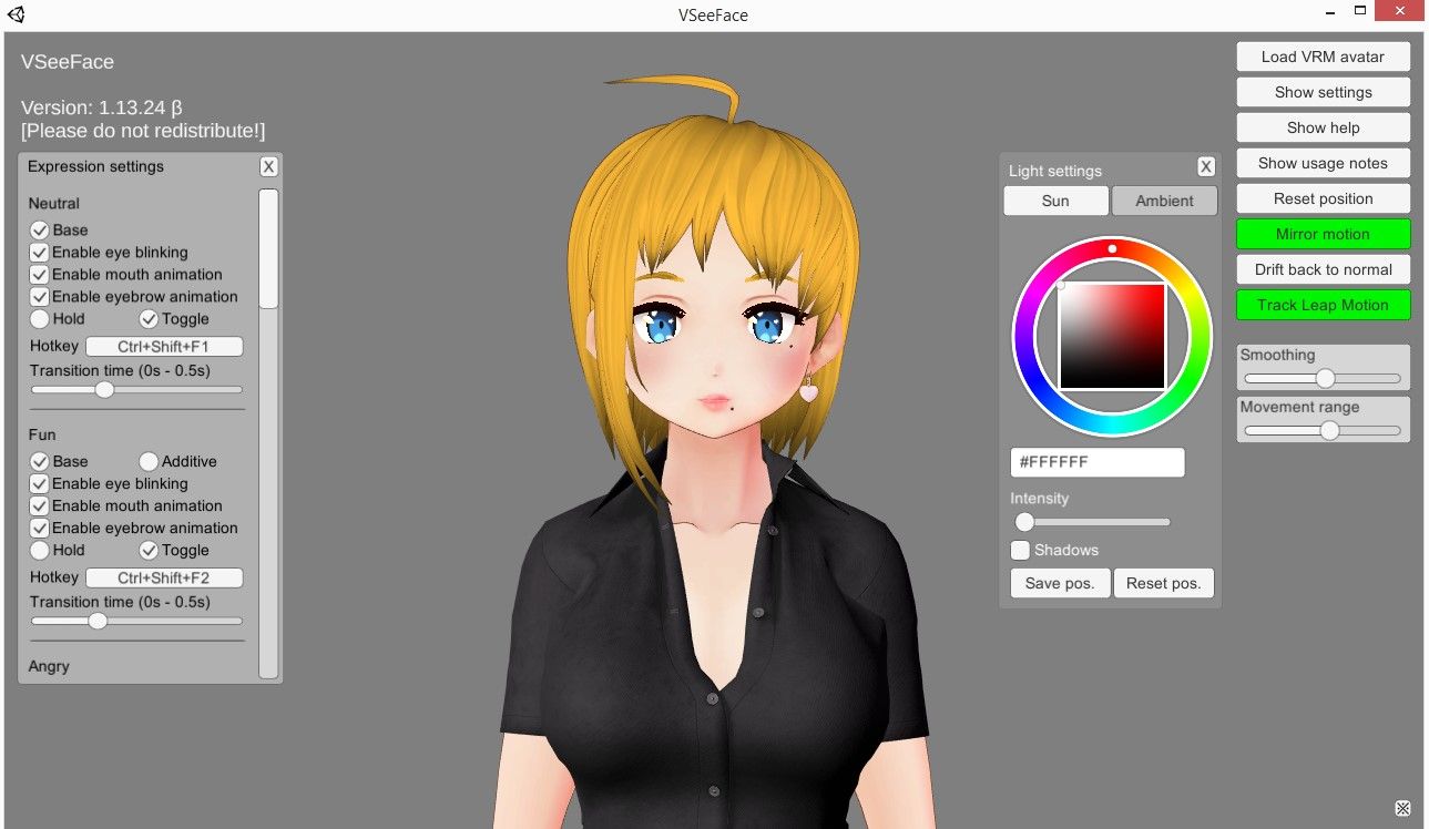 /pt/images/vseeface-model.jpg