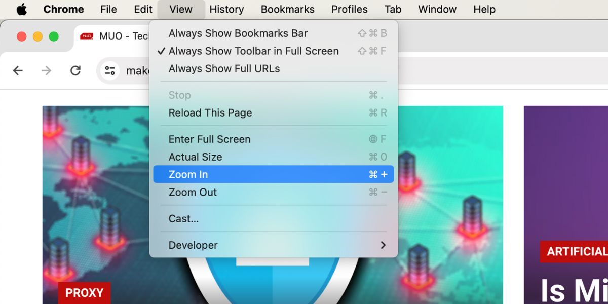 /pt/images/zoom-options-in-mac-menu-bar-view-tab.jpg