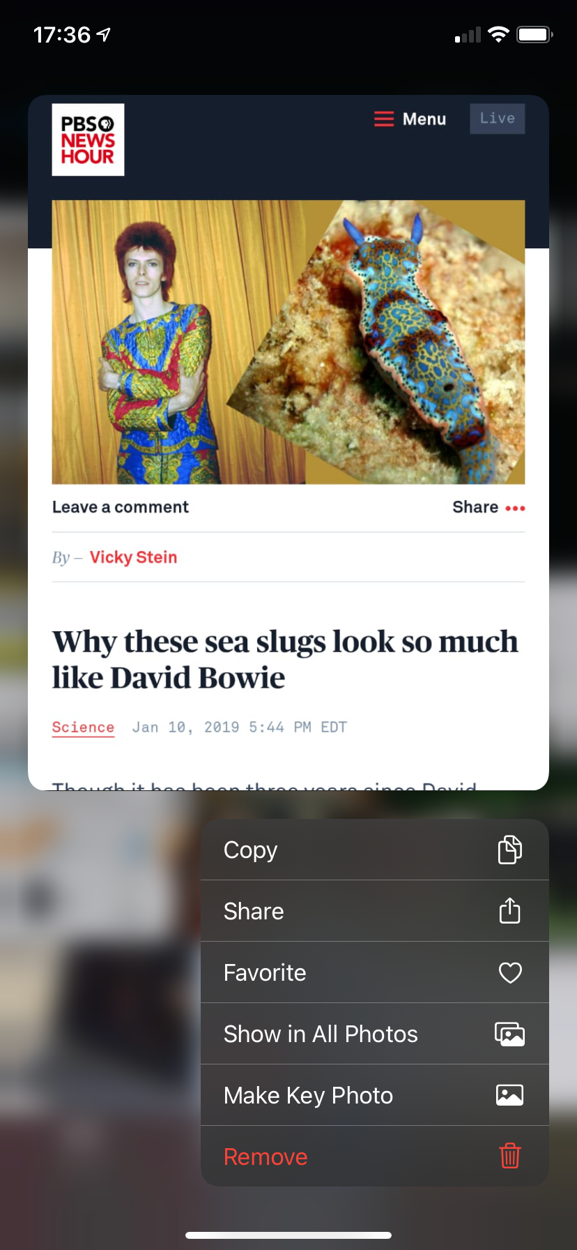 /sv/images/01b-iPhone-Photos-Share-Image.png