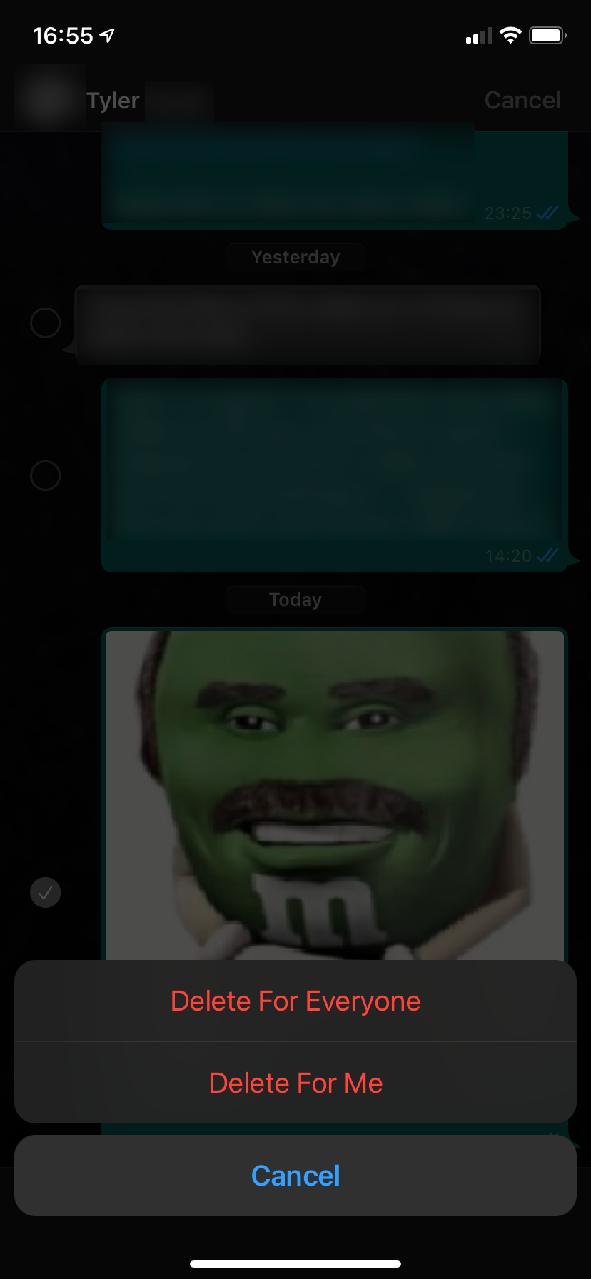 /sv/images/02b-WhatsApp-Delete-Image.png