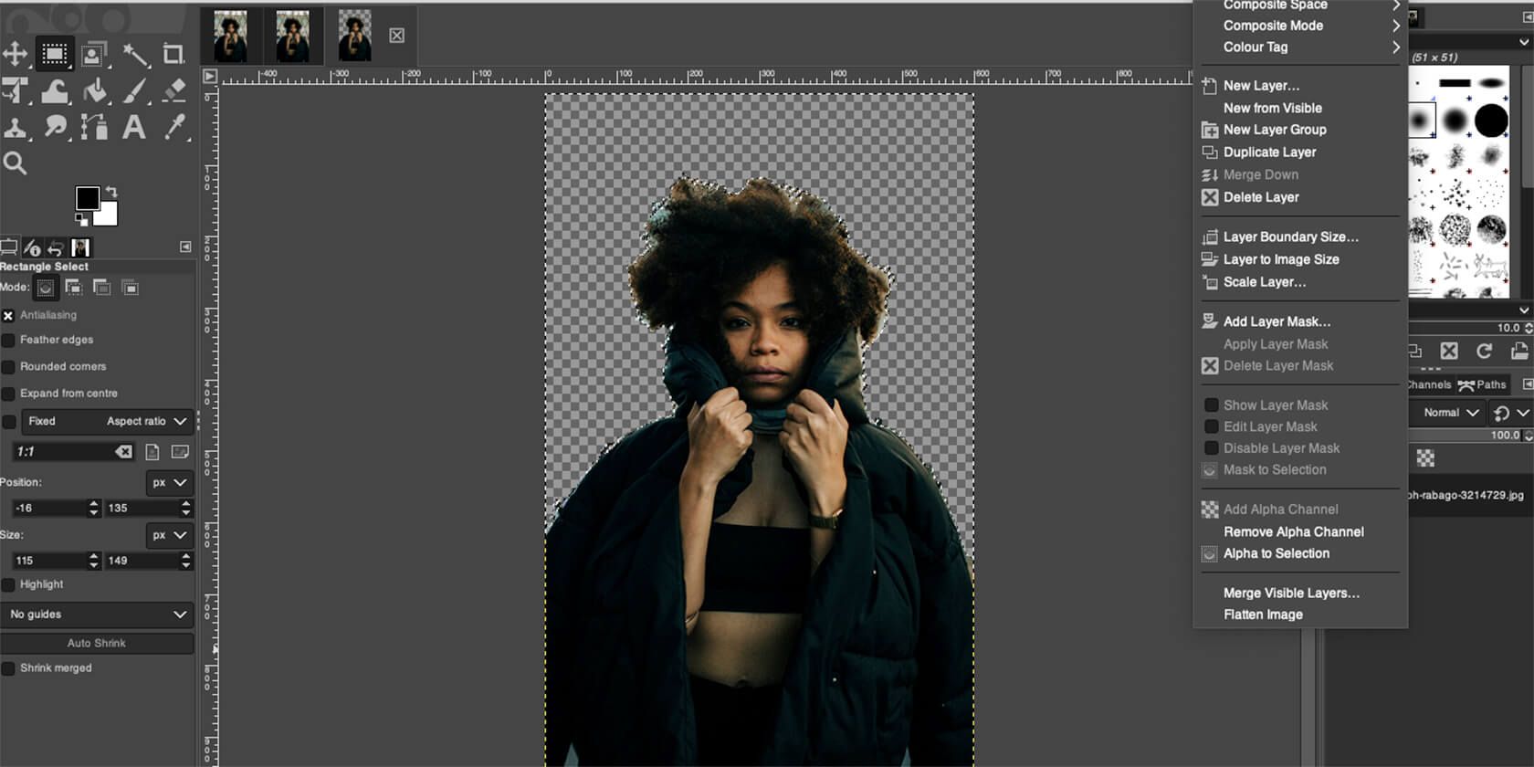 /sv/images/GIMP-transparent.jpeg