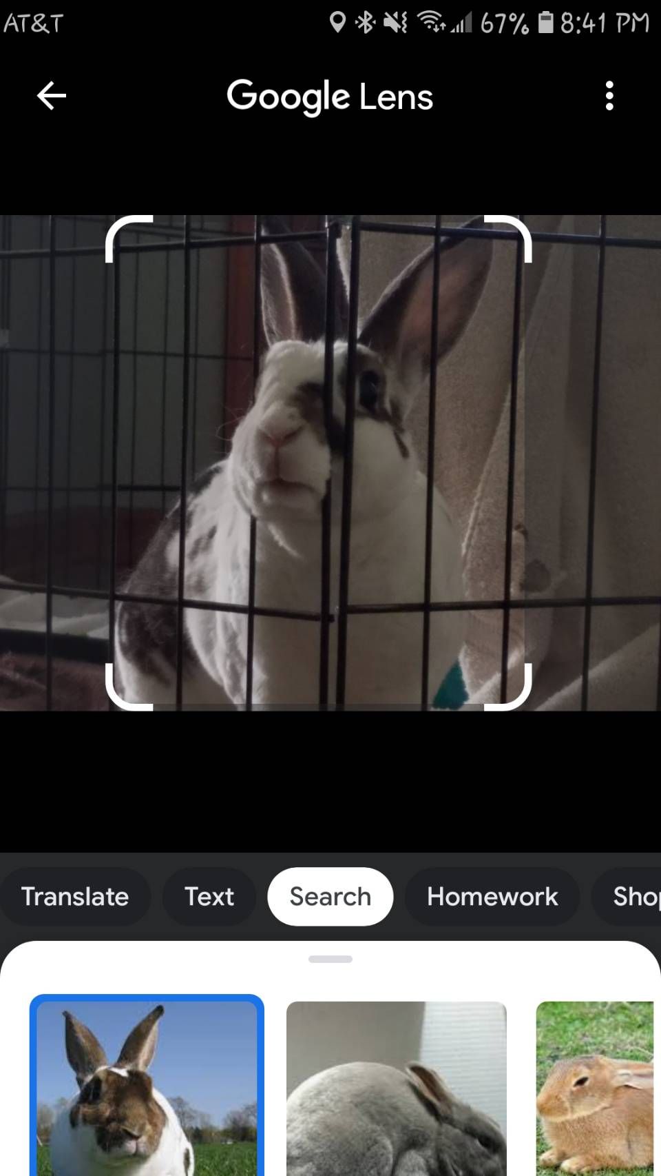/sv/images/Google-Lens_search_results.jpg