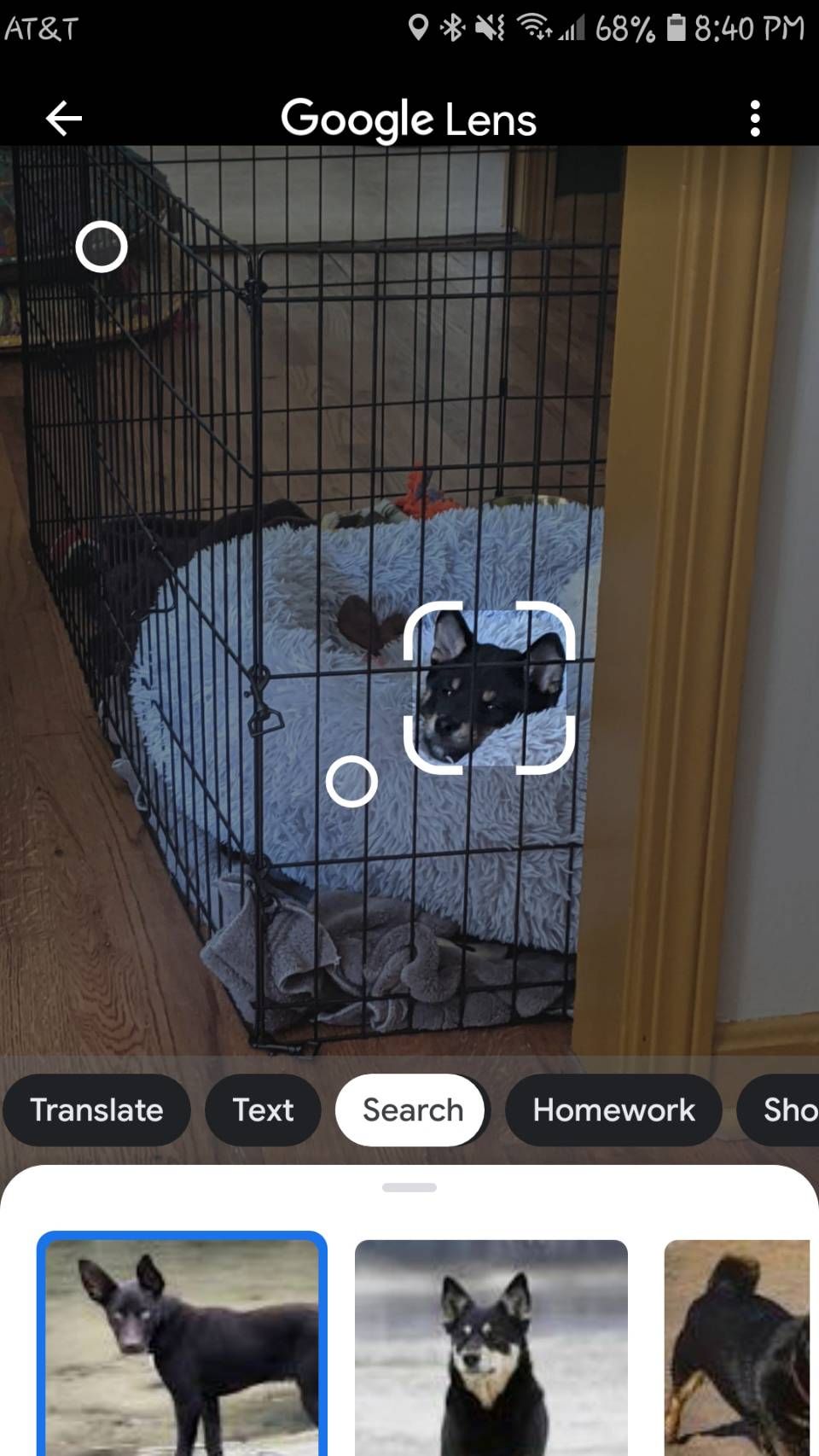 /sv/images/Google-Lens_targeted_search.jpg