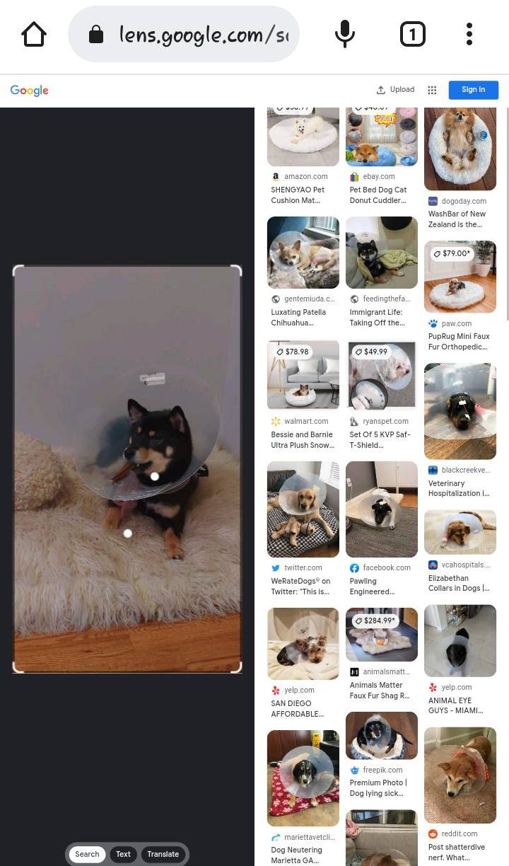 /sv/images/GoogleLens_result.jpg