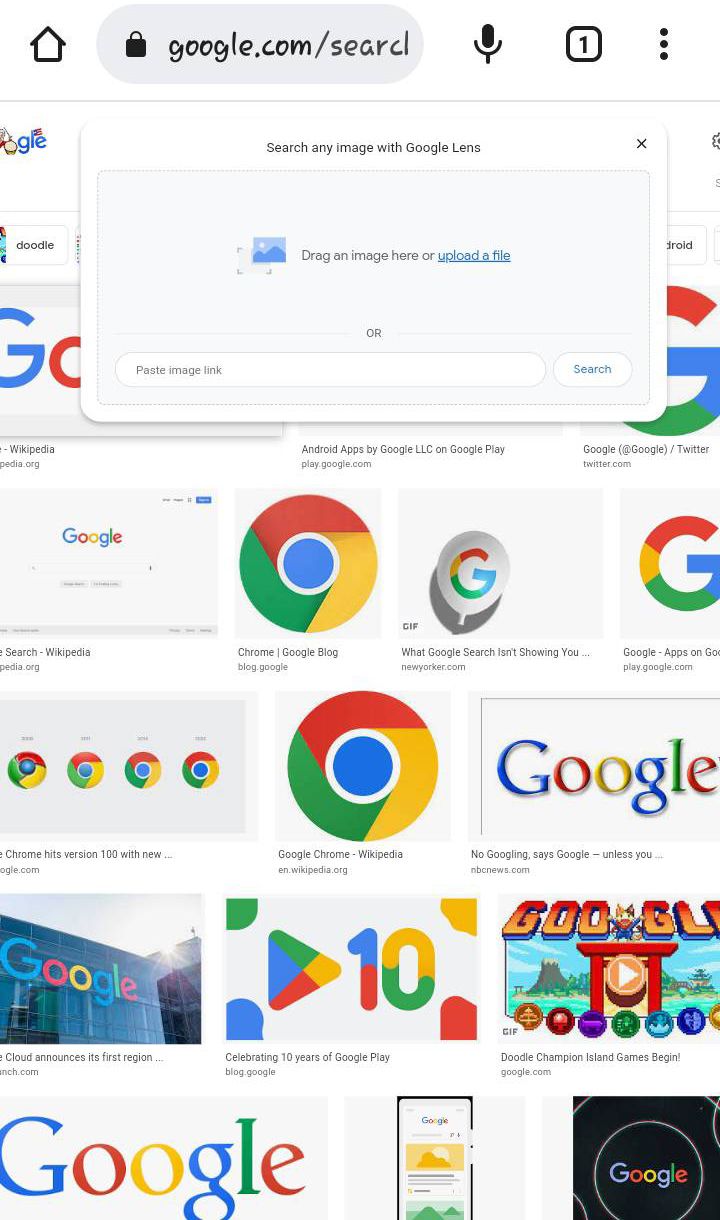 /sv/images/Google_lens_search_example.jpg