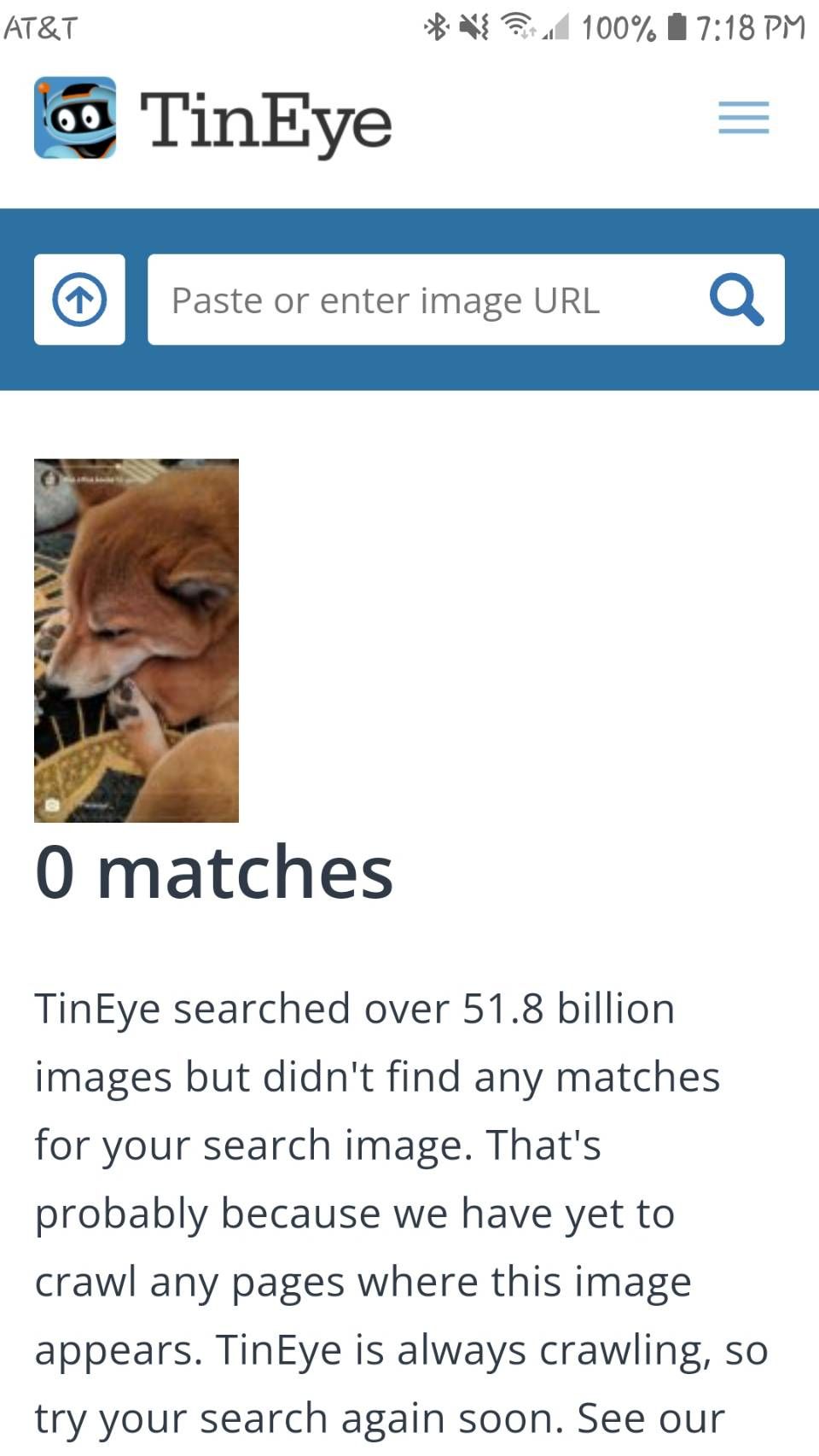 /sv/images/Tineye_Noresults.jpg