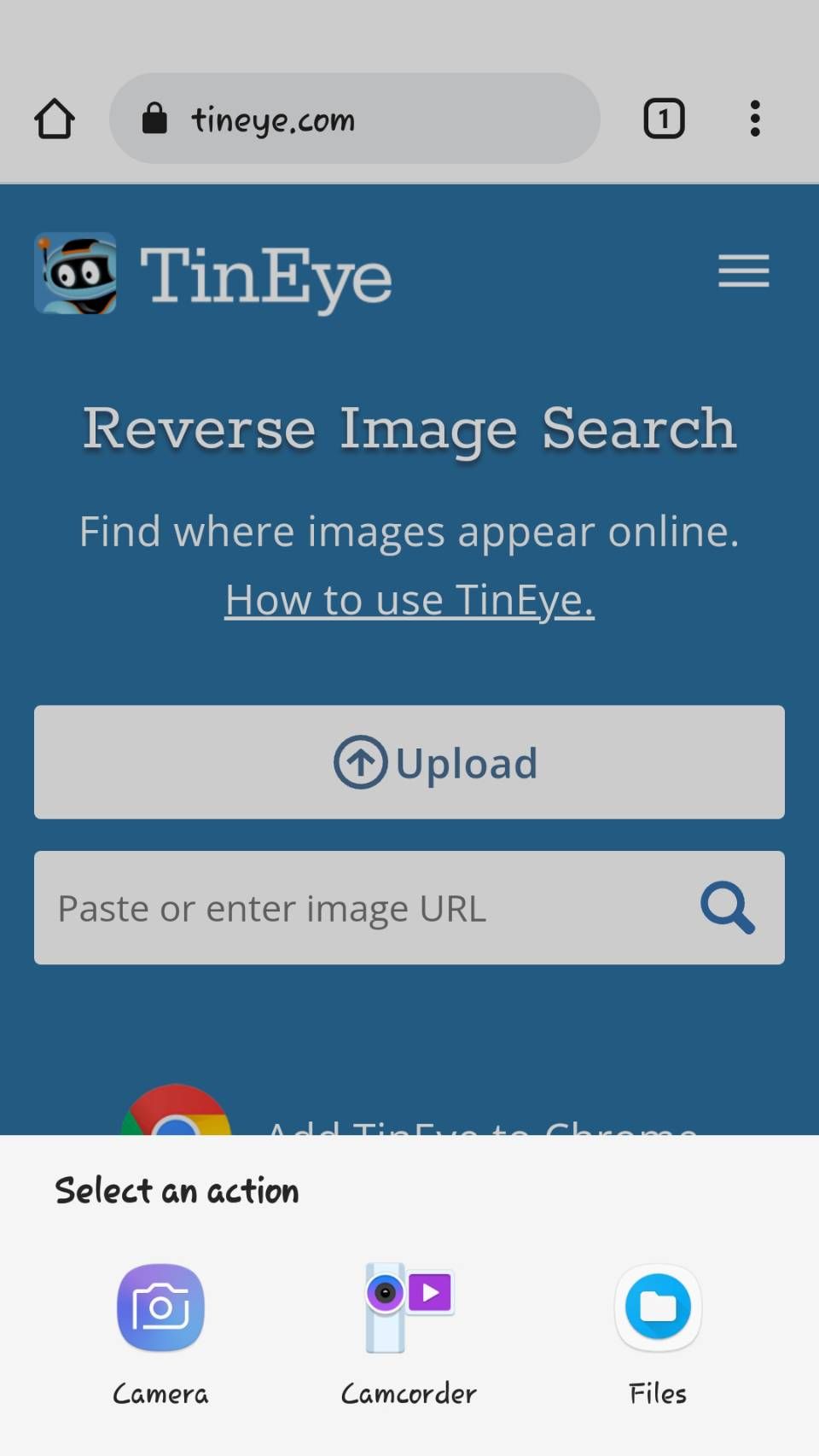 /sv/images/Tineye_Upload_Options.jpg