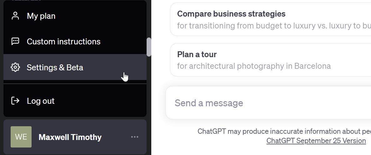 /sv/images/accessing-settings-to-turn-on-web-browsing-on-chatgpt.jpg