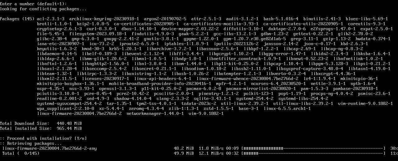 /sv/images/arch-install-packages.jpg