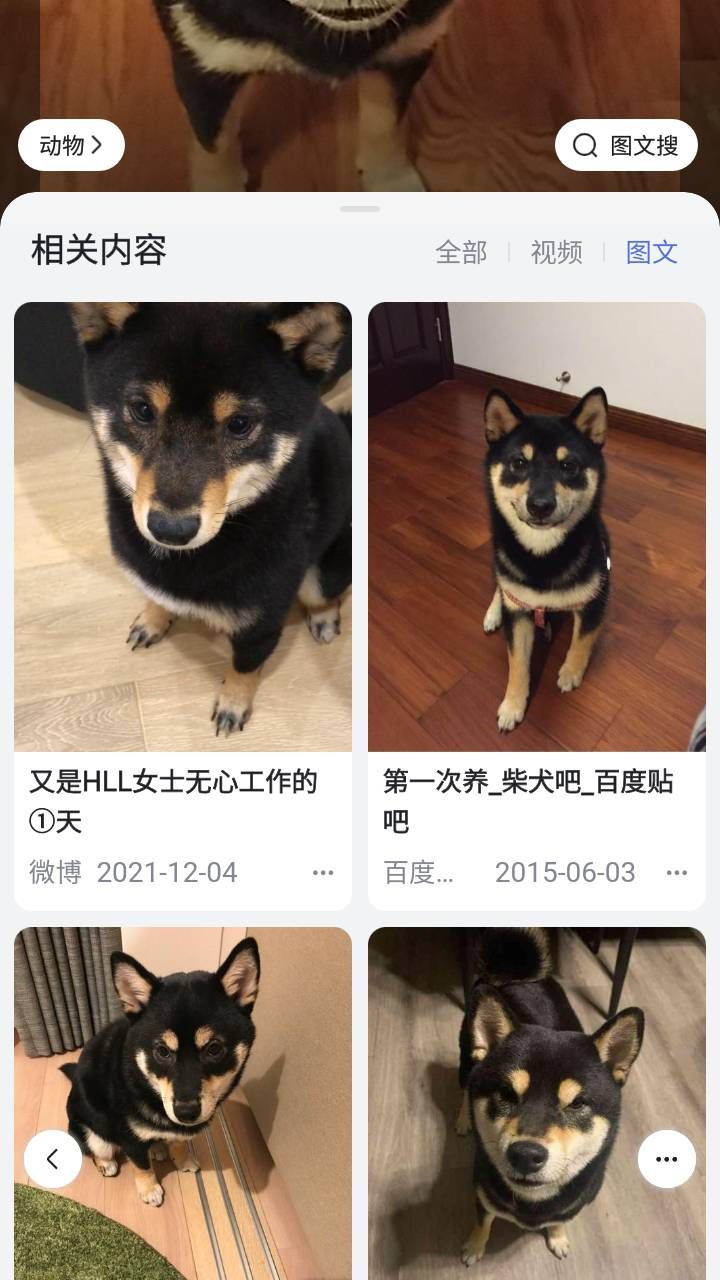 /sv/images/baidu_results.jpg
