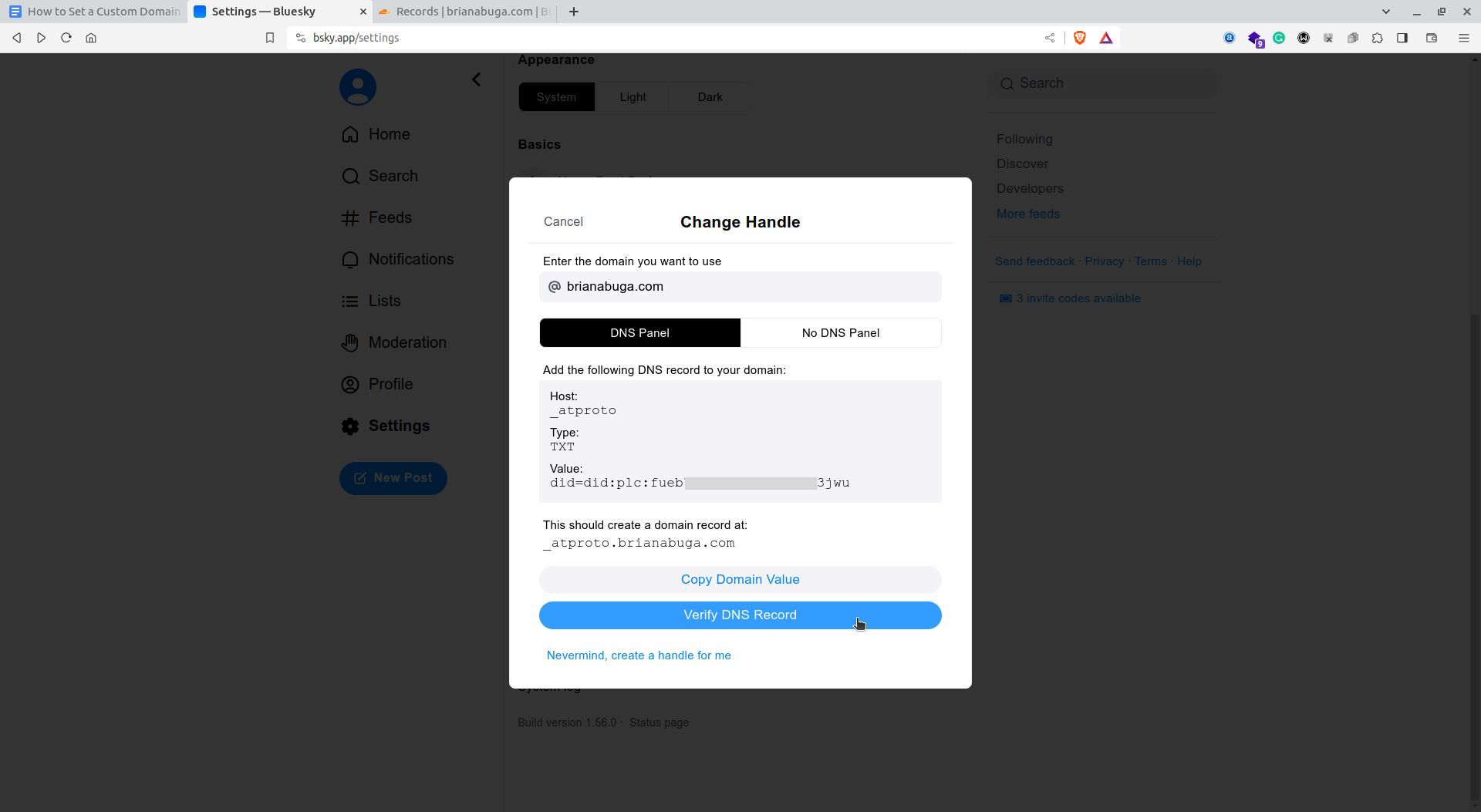/sv/images/bluesky-dns-records.jpg