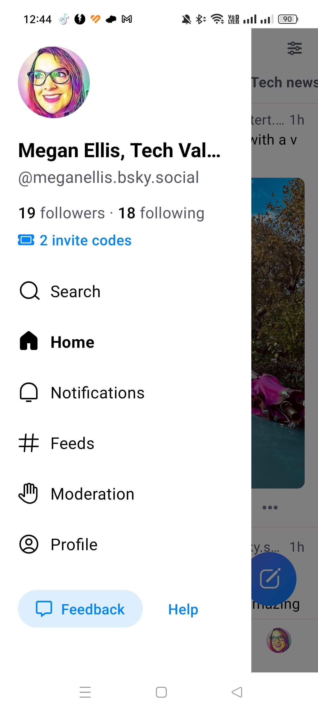 /sv/images/bluesky-profile-with-invite-codes.jpg