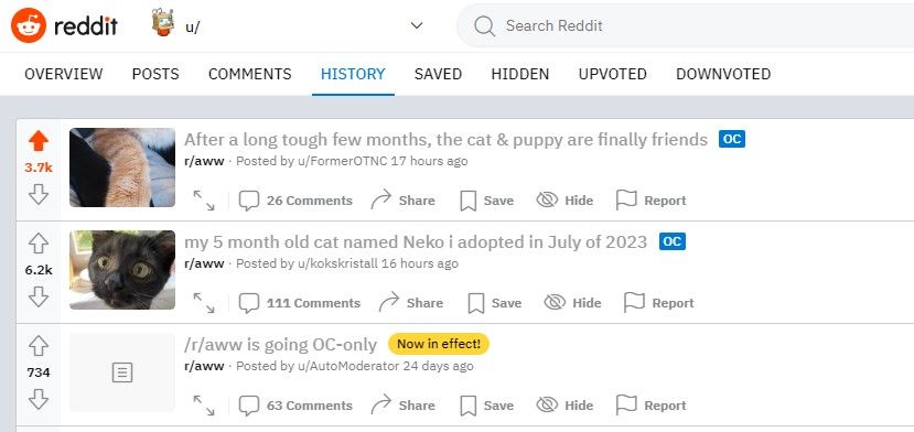 /sv/images/browsing-history-on-reddit-website.jpg
