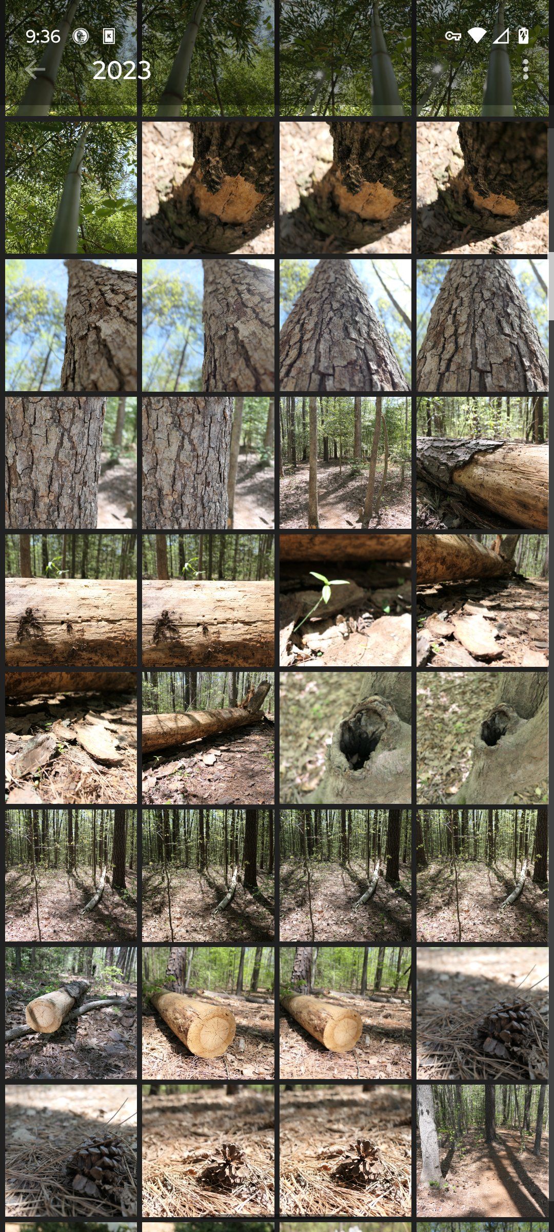 /sv/images/camera-roll-grid.jpg