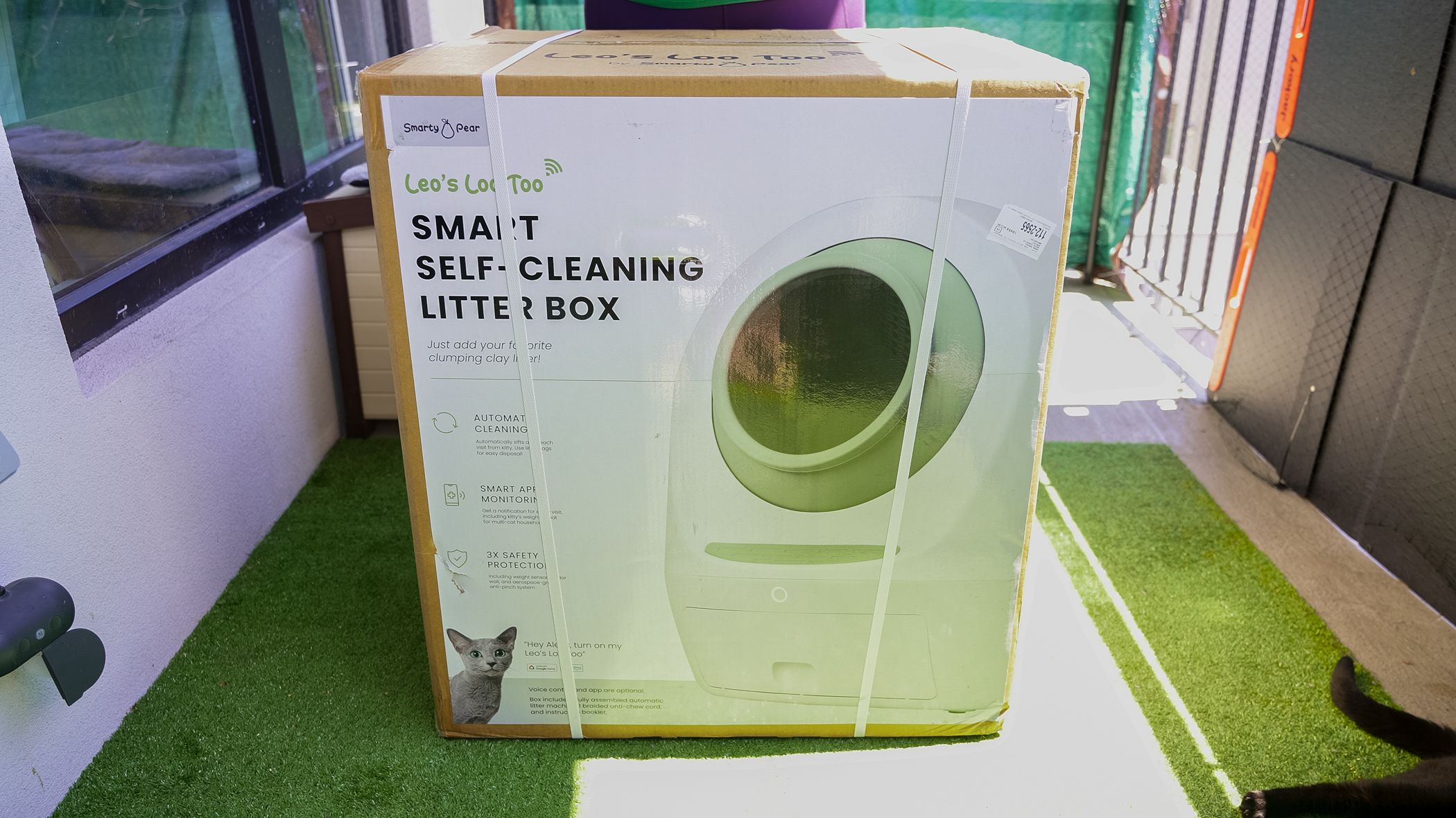 /sv/images/casa-leo-leo-s-loo-too-12.jpg