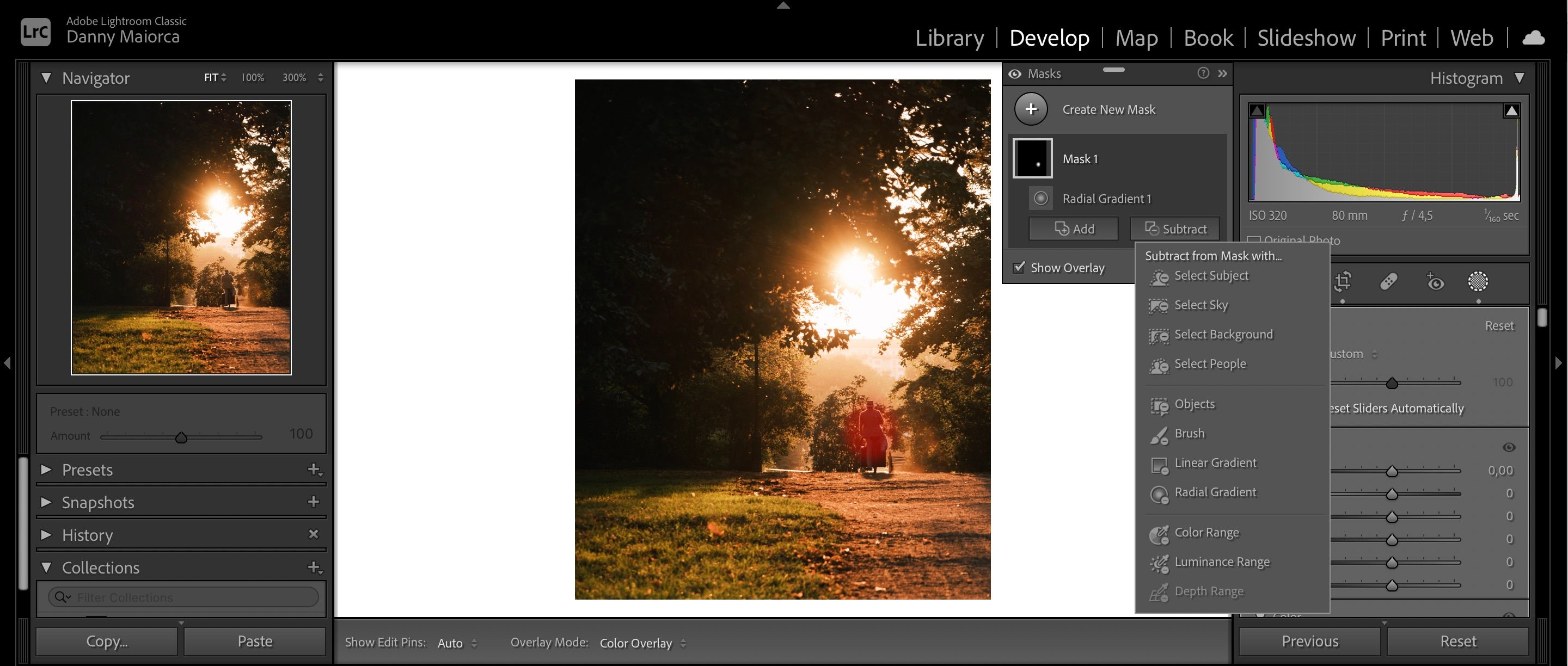 /sv/images/choose-brush-to-fine-tune-radial-gradient-filter.jpeg
