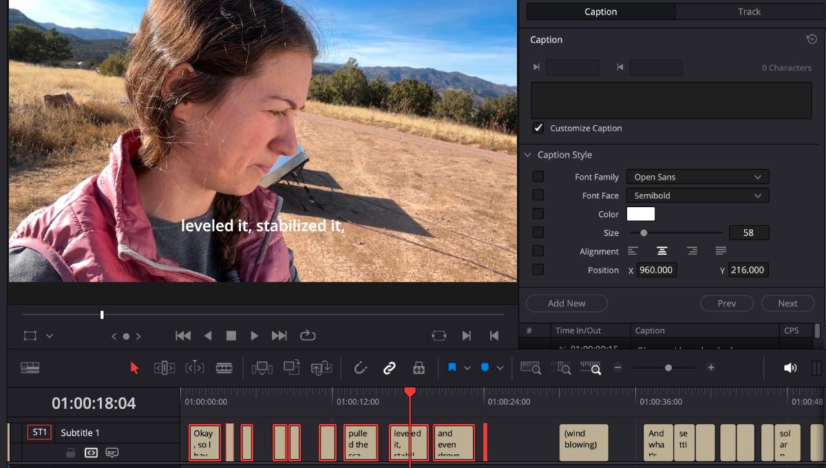 /sv/images/davinci-resolve-customizing-subtitles.jpeg
