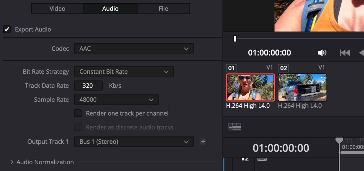 /sv/images/davinci-resolve-s-rendering-options-for-audio.jpeg