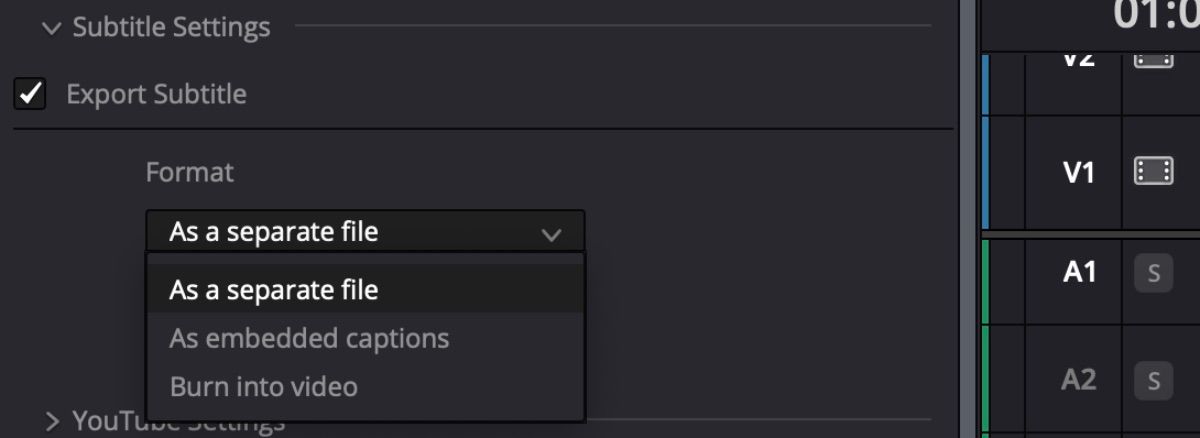 /sv/images/davinci-resolve-s-rendering-video-options-for-exporting-with-subtitles.jpeg