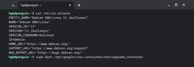 /sv/images/determining-linux-environment-version-and-updating-linux-on-chromeos.jpg