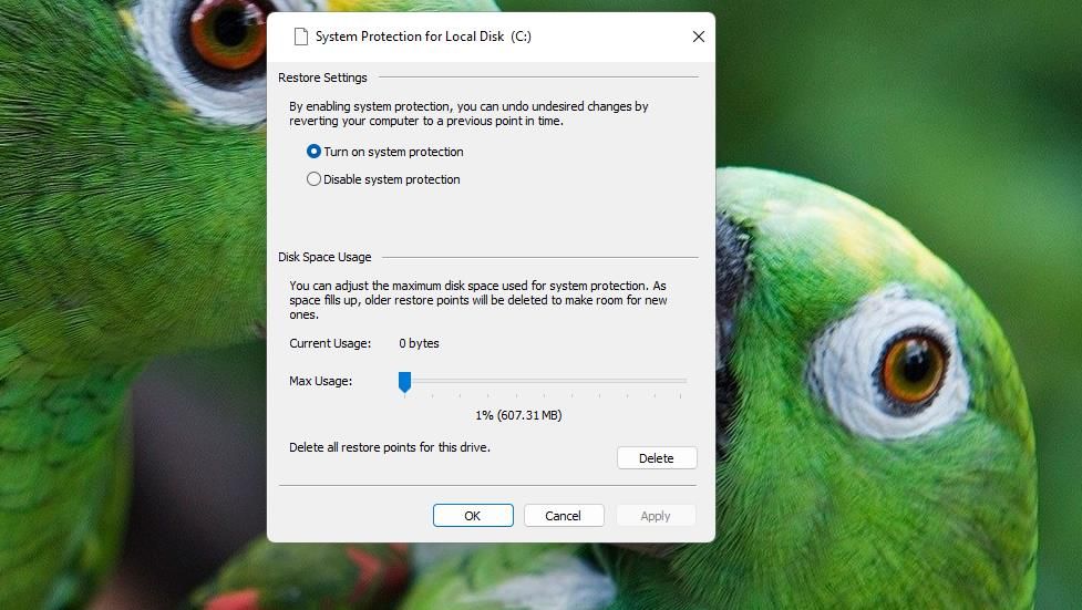 /sv/images/disable-system-protection-option.jpg