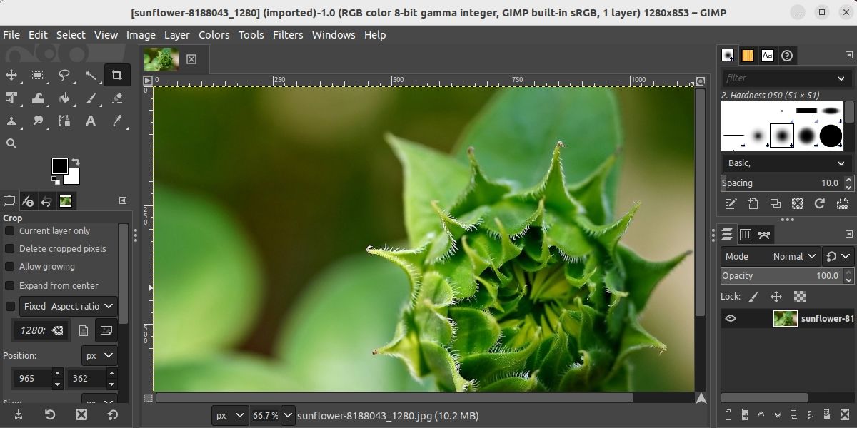 /sv/images/editing-an-image-in-gimp-linux.jpg