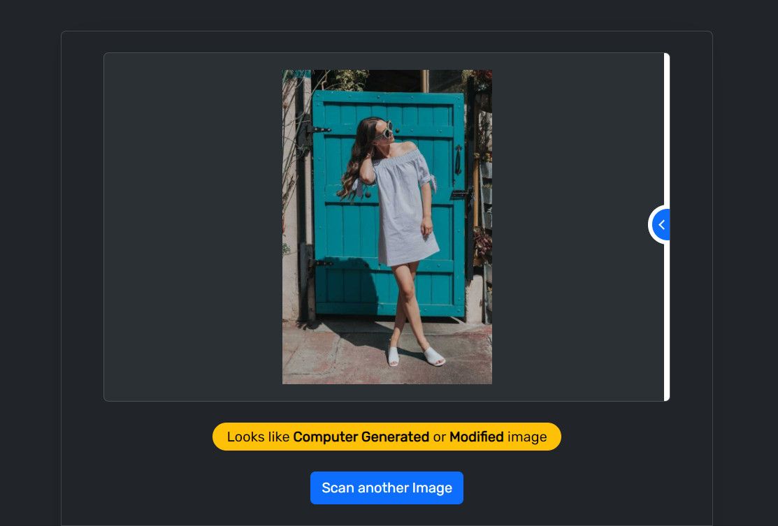 /sv/images/fakeimagedetector-results.jpg