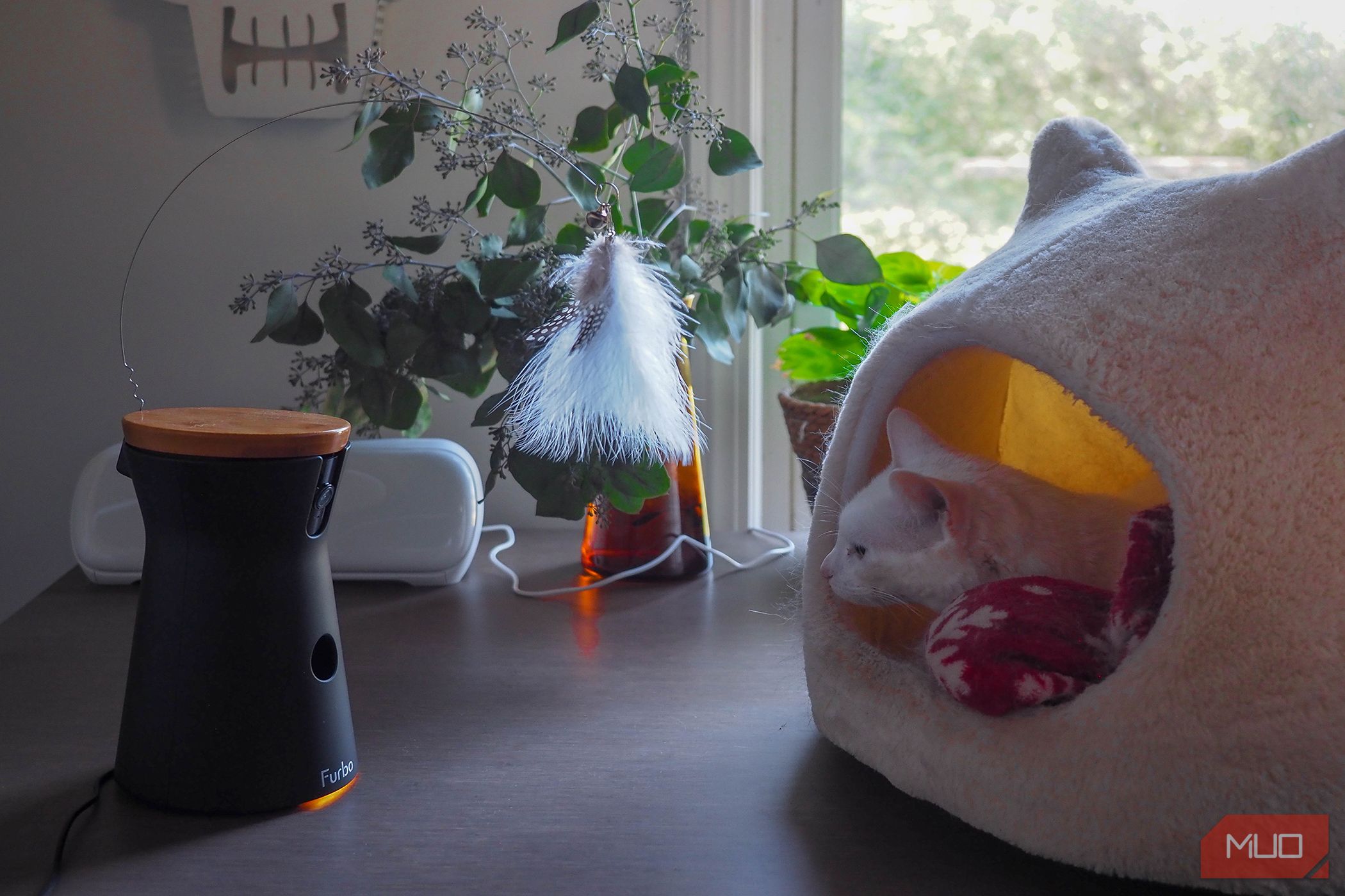 /sv/images/furbo360catcamera_catbedmonitor.jpg
