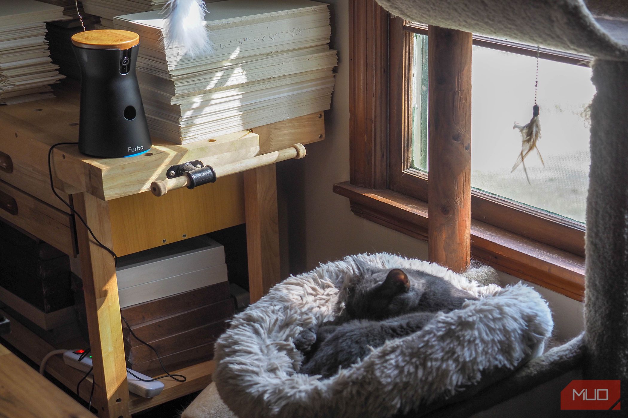 /sv/images/furbo360catcamera_monitoring.jpg