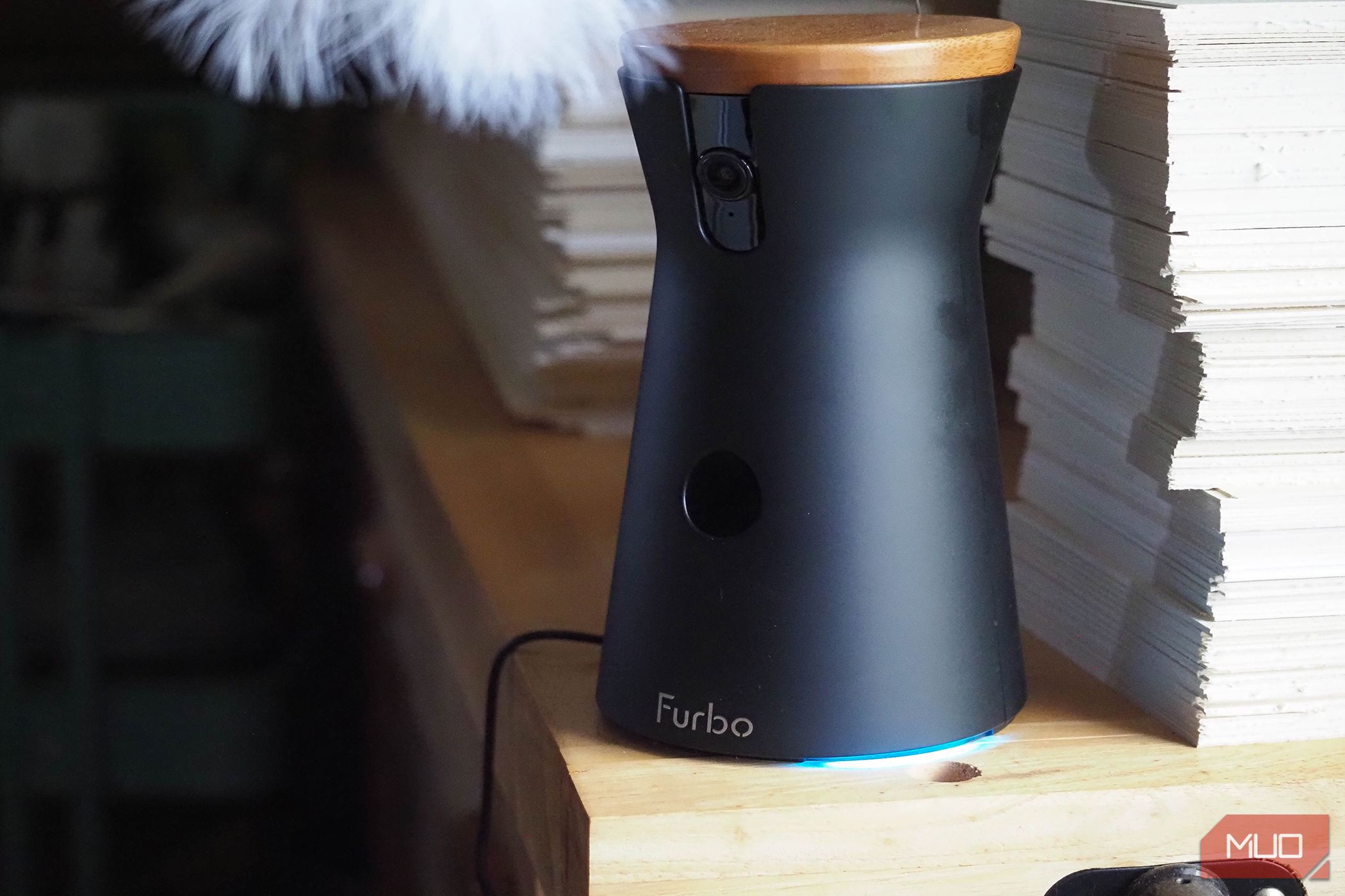 /sv/images/furbo360catcamera_profile.jpg