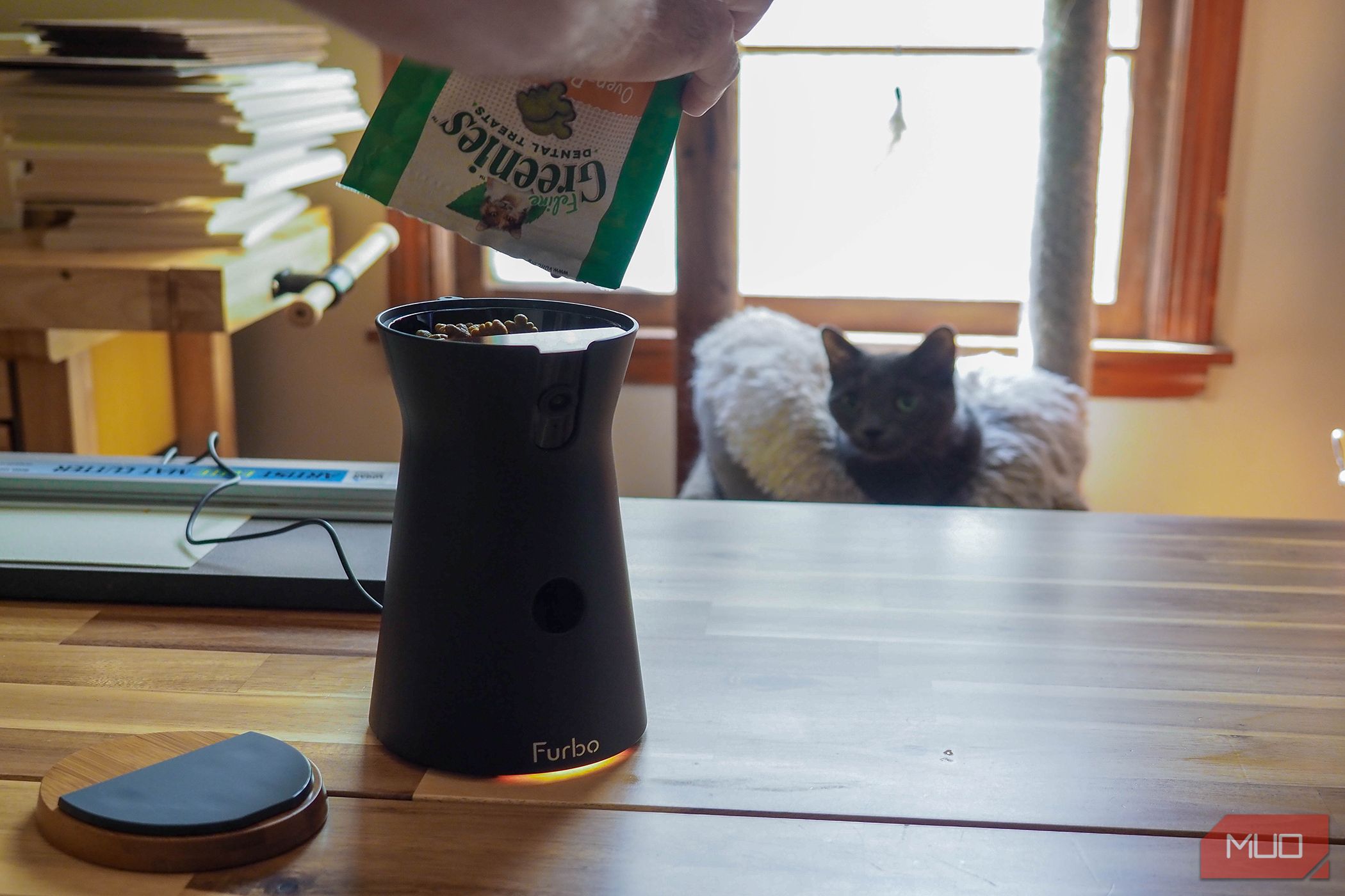 /sv/images/furbo360catcamera_treatfill.jpg