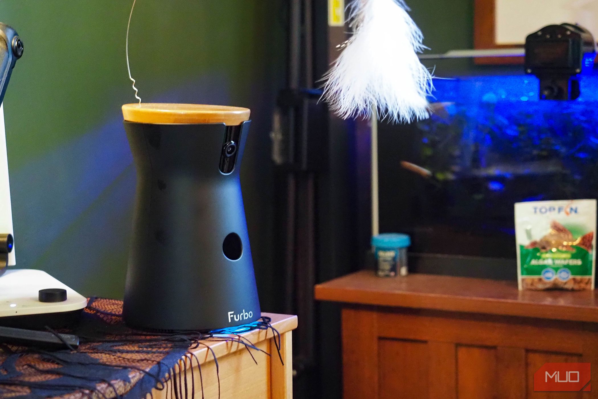 /sv/images/furbo360catcamera_treatshooting.jpg