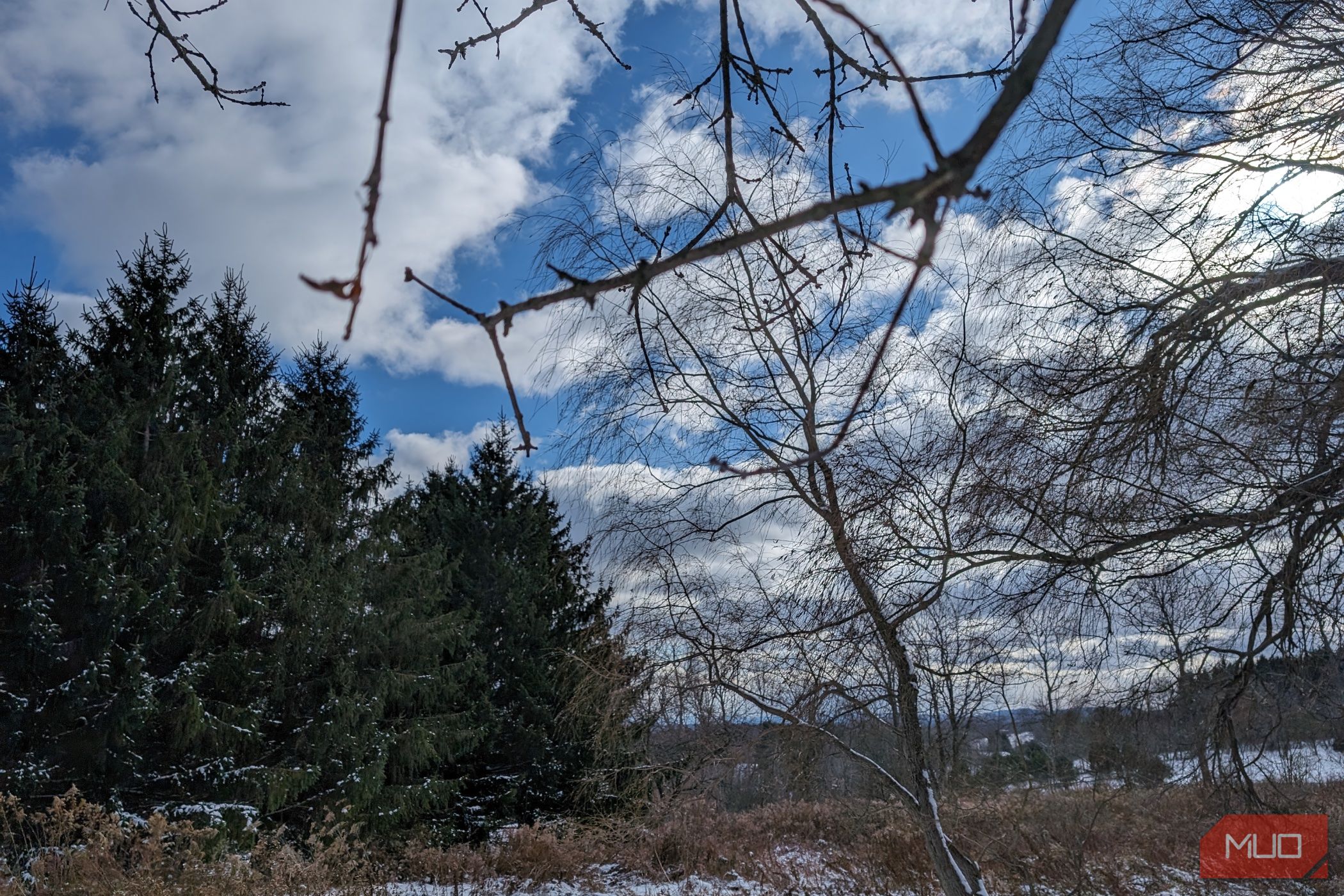 /sv/images/google-pixel-8-review-camera-sample-outdoors-1.jpg