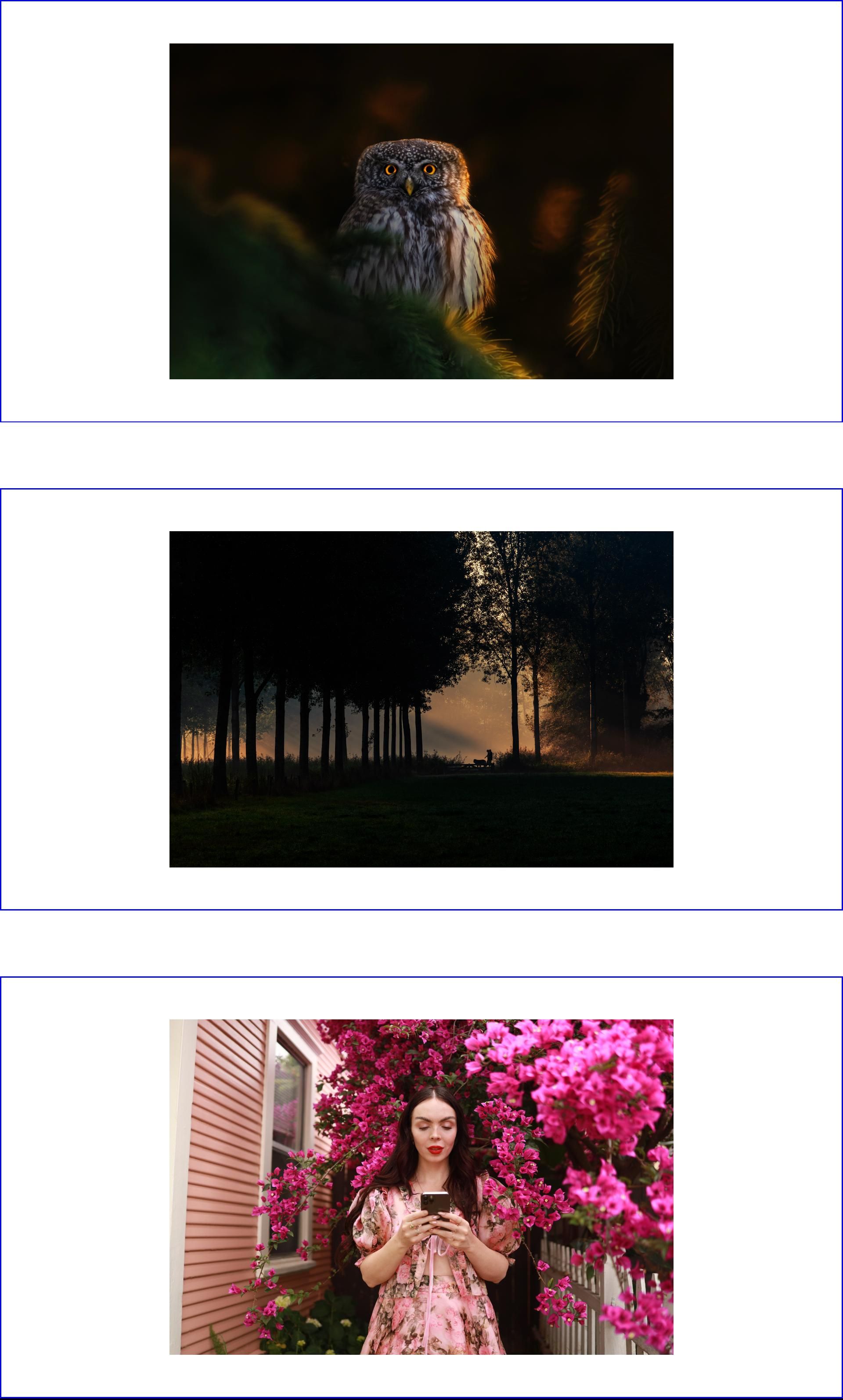 /sv/images/initial-page-render-without-lady-loading.jpg