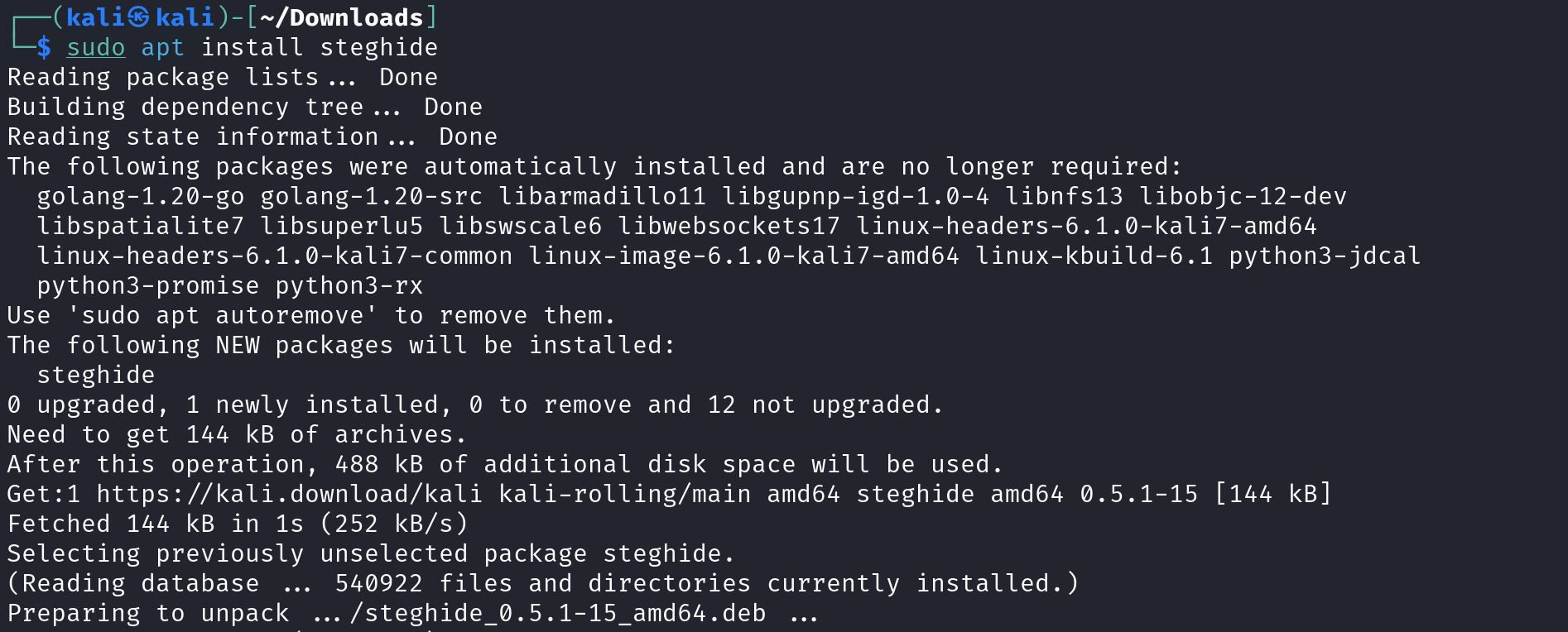 /sv/images/install-steghide-linux-1.jpg