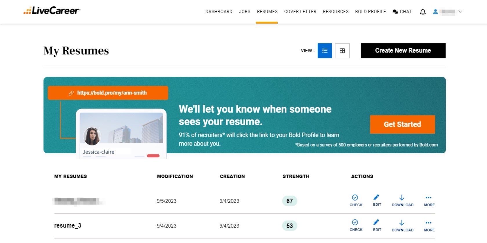 /sv/images/livecareer-s_resume_page.jpg
