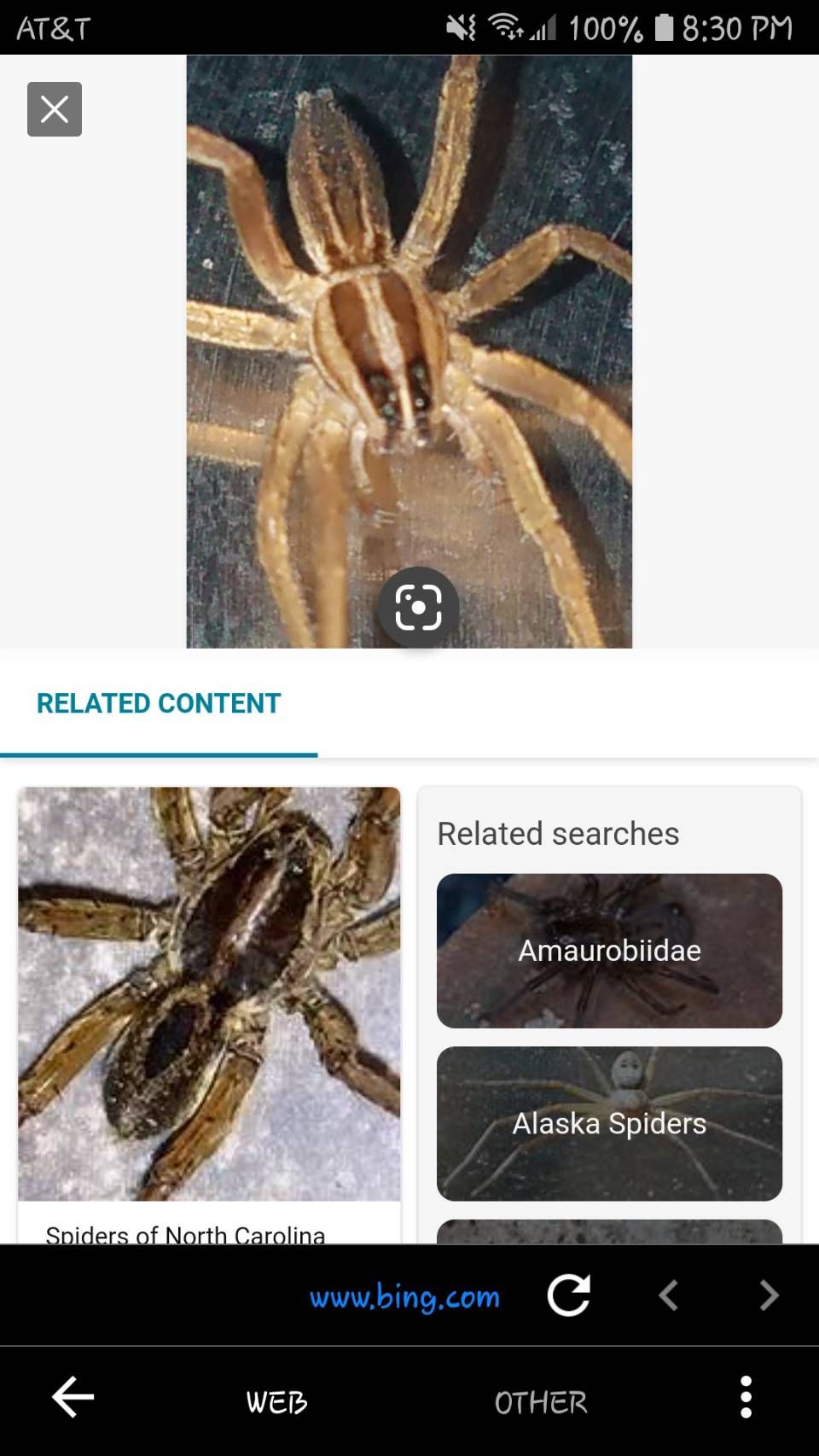 /sv/images/photosherlock_bingresults.jpg