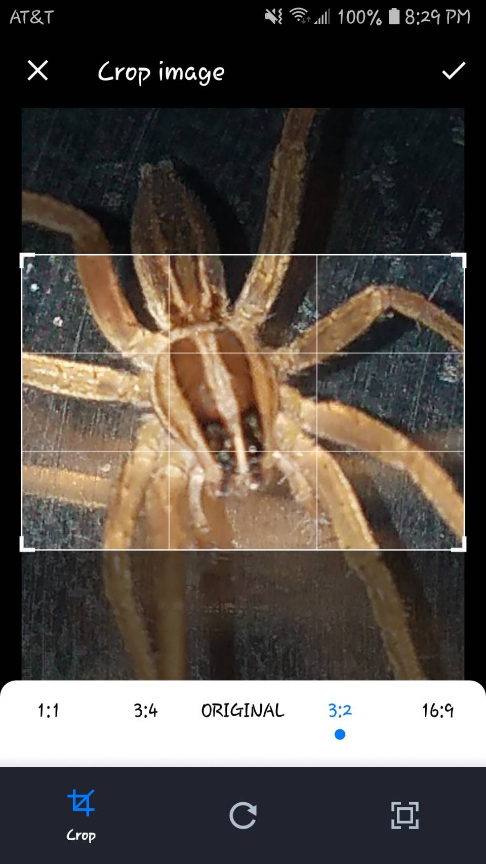 /sv/images/photosherlock_cropping.jpg