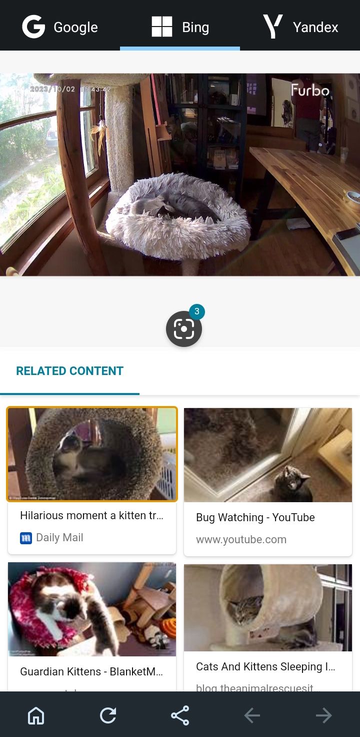 /sv/images/reverseimagesearchmulti_bingresults.jpg