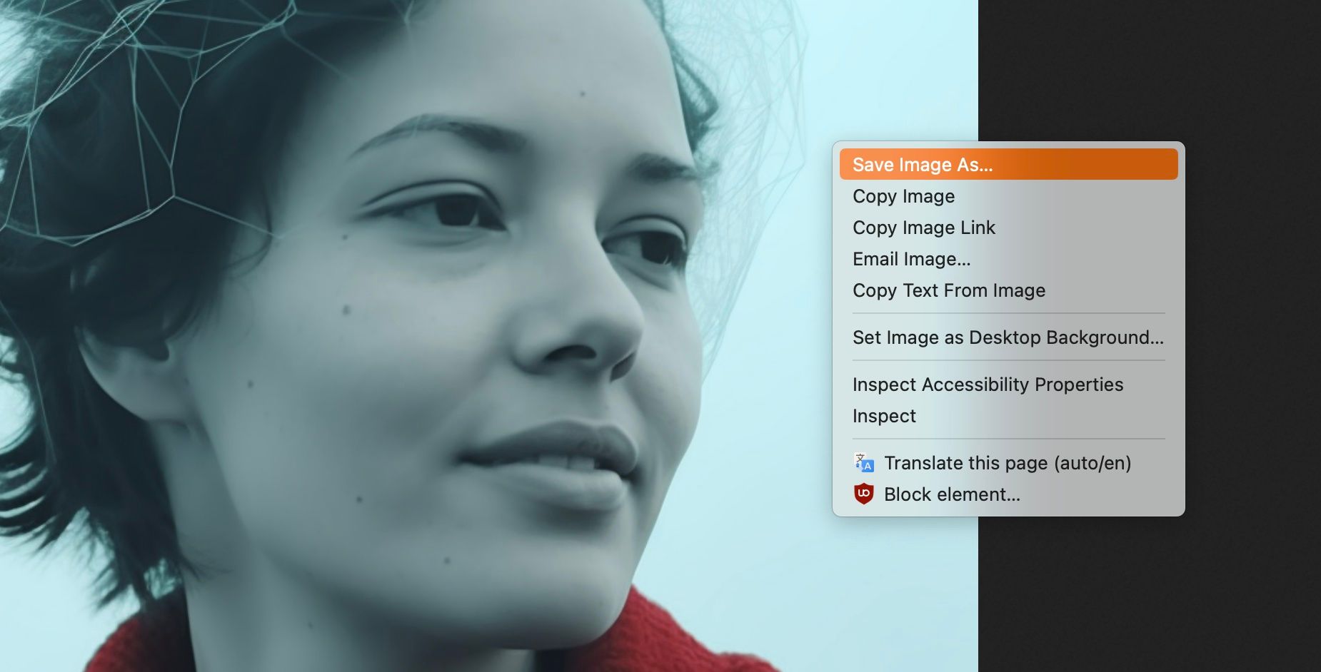 /sv/images/save-image-as-dialog-ontop-of-an-ai-generated-portrait-of-a-woman-2.jpg