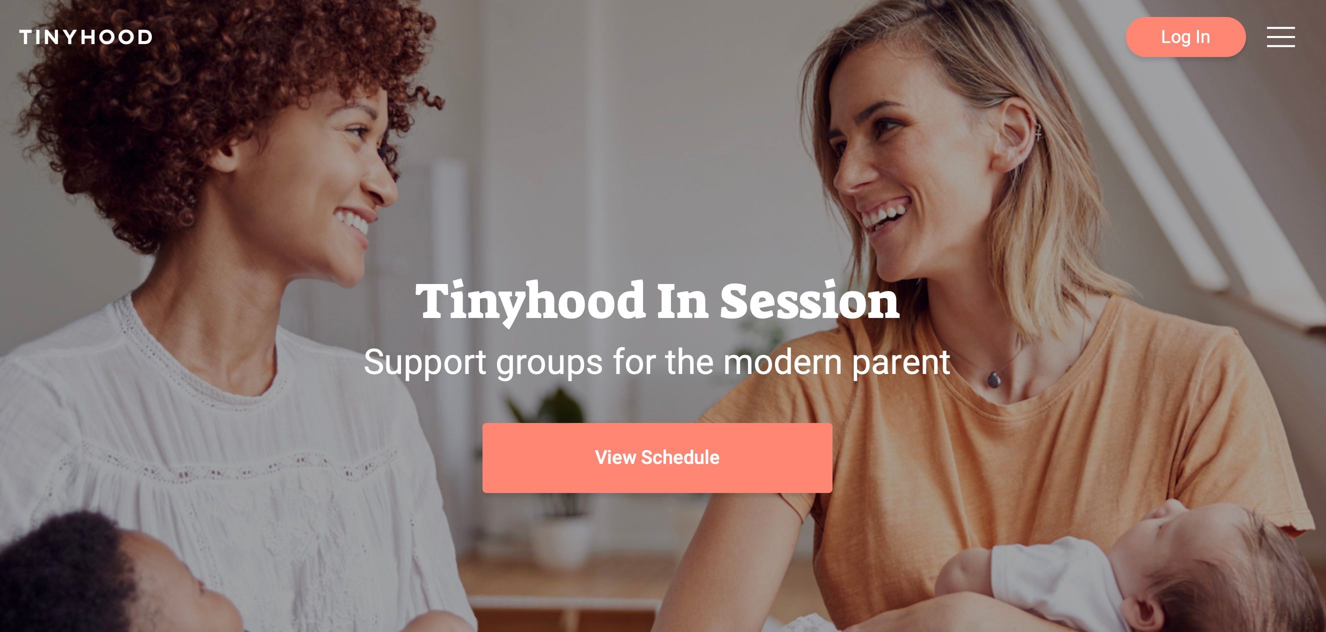 /sv/images/screenshot-of-tinyhood-in-session-website.jpeg