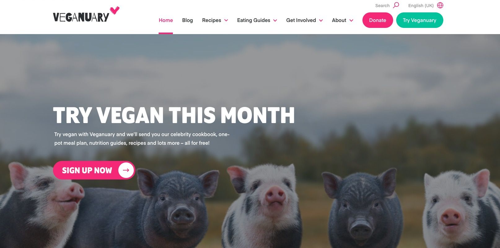 /sv/images/screenshot-of-veganuary-website.jpg