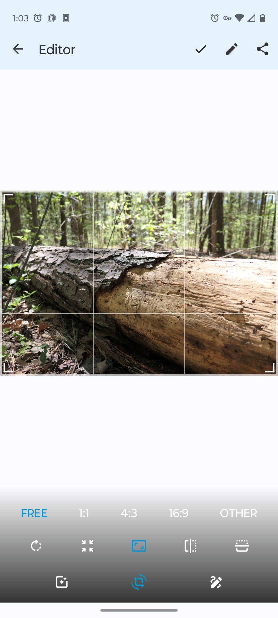 /sv/images/simple-gallery-android-editor.jpg