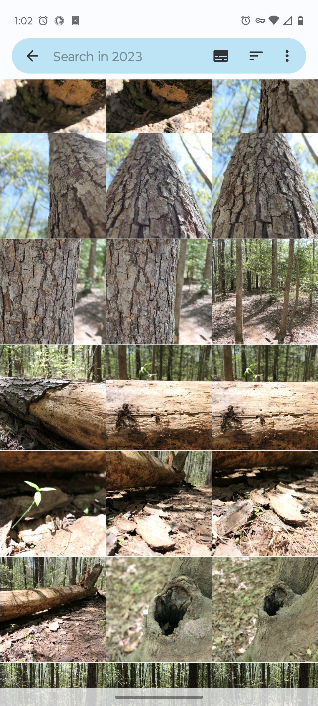 /sv/images/simple-gallery-android-grid-view.jpg