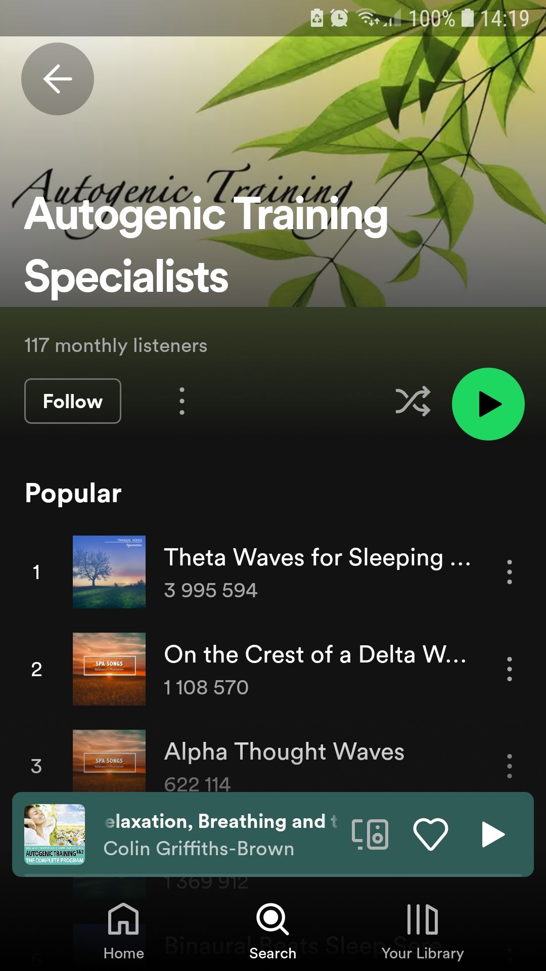 /sv/images/spotify-artist.jpg