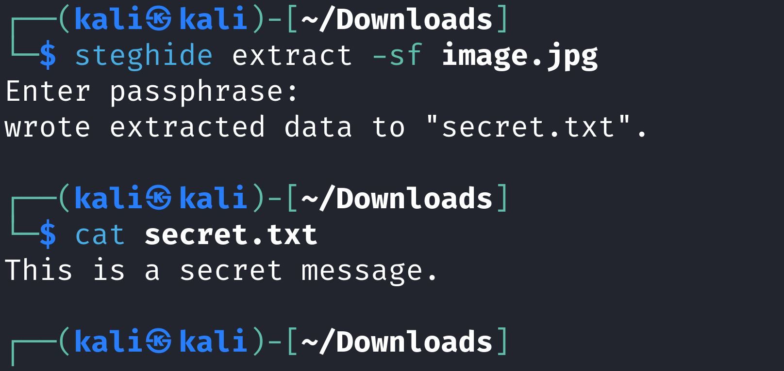 /sv/images/steghide-extract-file.jpg