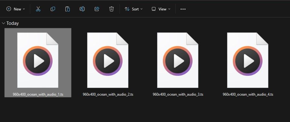 /sv/images/ts-video-file-in-windows-explorer.jpg