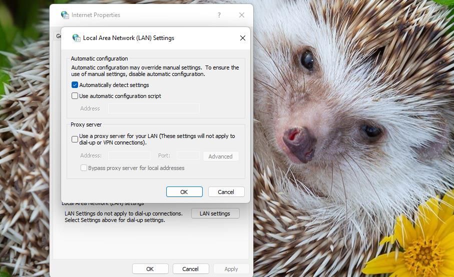 /sv/images/use-a-proxy-server-option-1.jpg